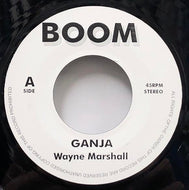 WAYNE MARSHALL / GANJA