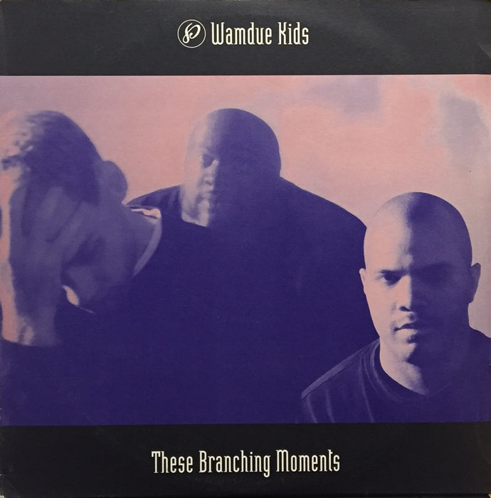 洋楽 Wamdue Kids These Branching Moments LP WAMDUE KIDS / THESE BRANCHING MOMENTS – TICRO MARKET