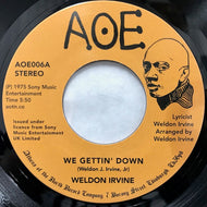WELDON IRVINE / WE GETTIN' DOW