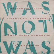 WAS (NOT WAS) / Spy In The House Of Love