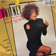 WHITNEY HOUSTON / Where Do Broken Hearts Go