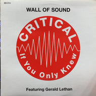 WALL OF SOUND / Critical (If You Only Knew)