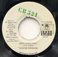 WAYNE WONDER / Open Your Eyes