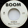 WAYNE MARSHALL / GANJA