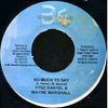 WAYNE MARSHALL / BIG FLEX