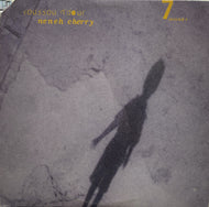 YOUSSOU N’DOUR & NENEH CHERRY / 7 SECONDS