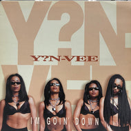 Y?N-VEE / I'M GOIN' DOWN