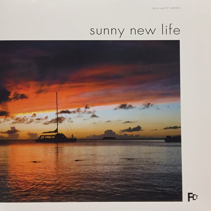 Sunny New Life (LP) YAKENOHARA やけのはら 71zcHnhaKvL.jpg