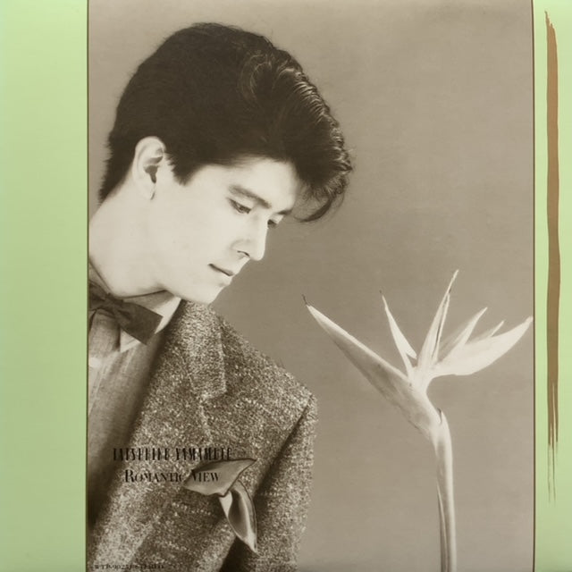 山本達彦 / ロマンティック・ビュー (LP) – TICRO MARKET