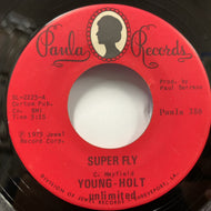 YOUNG HOLT UNLIMITED / Super Fly / Give Me Your Love
