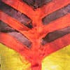 YEAH YEAH YEAHS / SHOW YOUR BONES