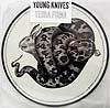 YOUNG KNIVES / TERRA FIRMA