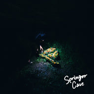 YOGEE NEW WAVES / SPRING CAVE e.p.
