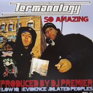 TERMANOLOGY / So Amazing ／ Low IQ (BRK 078, 12inch)