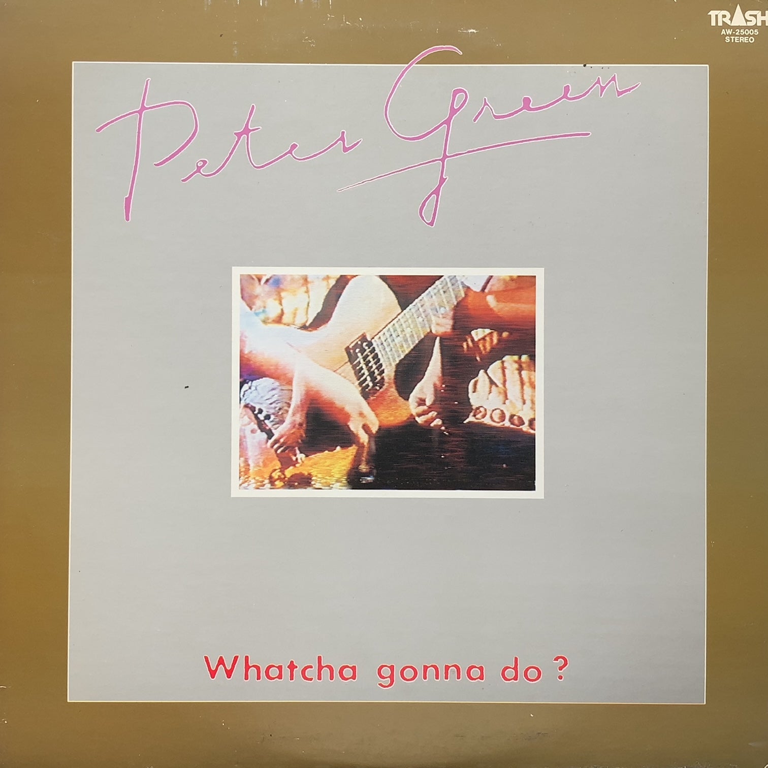 PETER GREEN / Whatcha Gonna Do? (AW-25005, LP) 見本盤 – TICRO MARKET