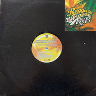 V.A. (AQUA PROJECT) / RAGGA FLAVOR R&B EP 1