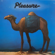PLEASURE / Dust Yourself Off (Reissue, LP)