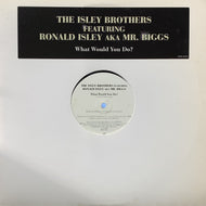 ISLEY BROTHERS / What Would You Do? (DRMR-14012-1, 12inch)