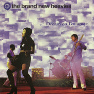 BRAND NEW HEAVIES / Dream On Dreamer (1-0112-4-RRD, 12inch) jpn reissue