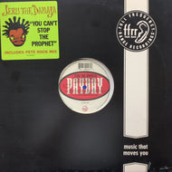 JERU THE DAMAJA / You Can't Stop The Prophet (697-120-046-1, 12inch)