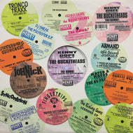 BUCKETHEADS / The Bomb! (These Sounds Fall Into My Mind) HS 518, 12inch Reissue