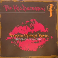 TRUE KISS DESTINATION / Precious Moments (Remix) TRUEKA-102, 12inch
