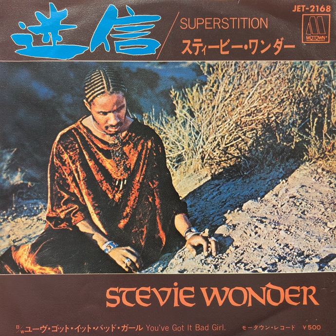 stevie wonder ストア カバー