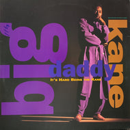 BIG DADDY KANE / It's Hard Being The Kane (0-21774, 12inch)