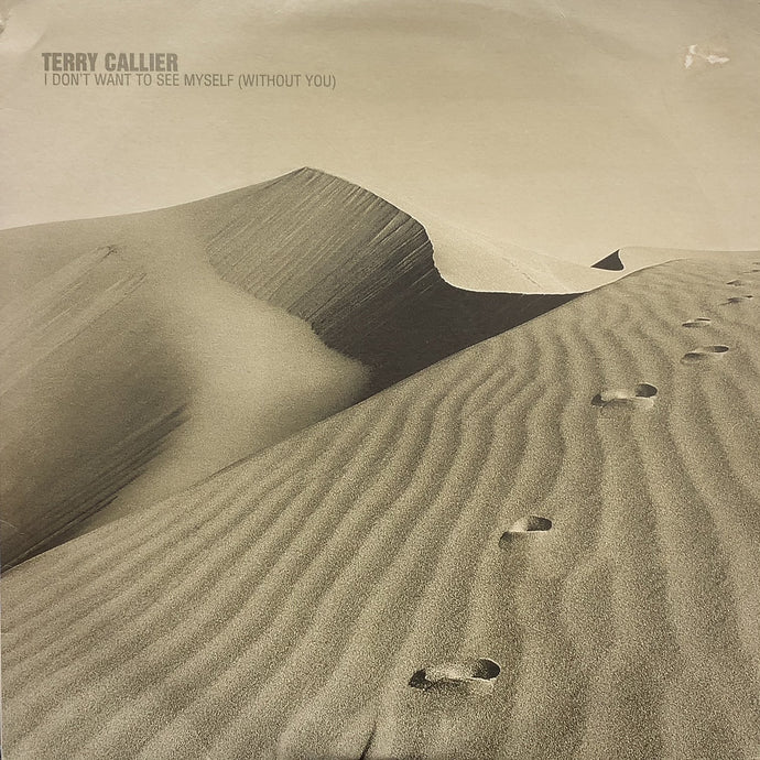 TERRY CALLIER / I Don't Want To See Myself (Without You) TLX 52, 12inch x 2