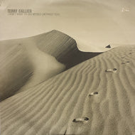TERRY CALLIER / I Don't Want To See Myself (Without You) TLX 52, 12inch x 2