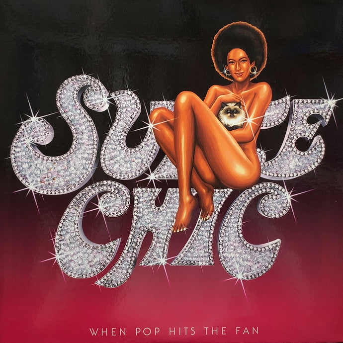 SUITE CHIC (安室奈美恵) / When Pop Hits The Fan (RR12-88403/B, 2LP