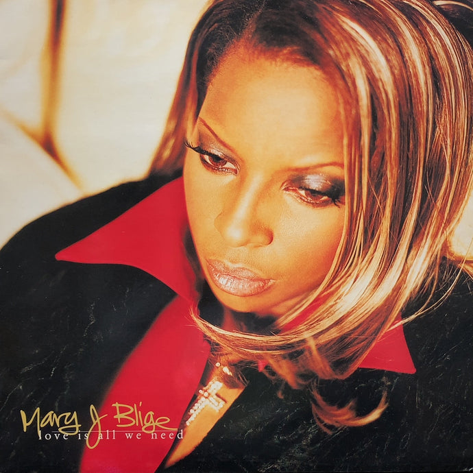 MARY J BLIGE / Love Is All We Need (MCT 49027, 12inch x 2)