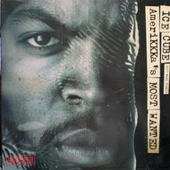 ICE CUBE / AmeriKKKa's Most Wanted (VL7220, 12inch)
