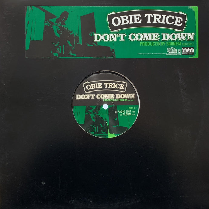 OBIE TRICE / Don't Come Down (INTR-11096-1,12inch)