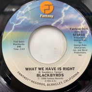BLACKBYRDS / What We Have Is Right (Fantasy 904, 7inch)