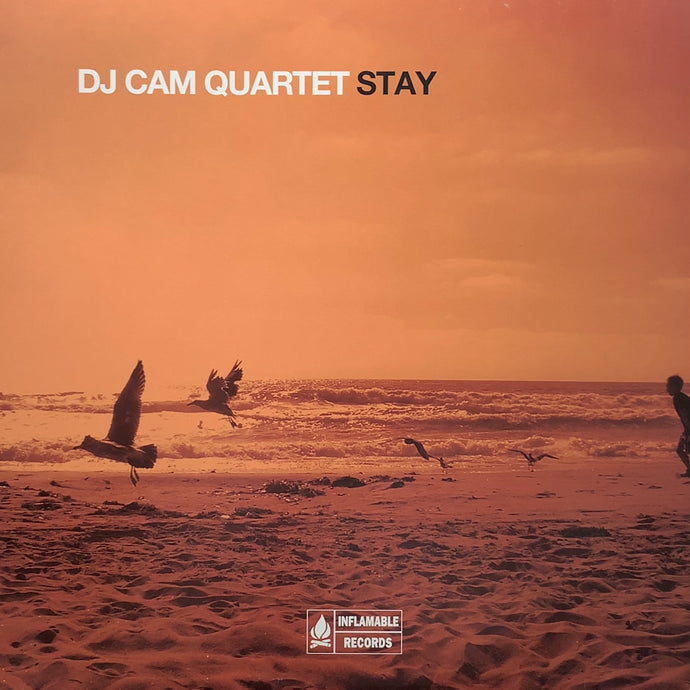 DJ CAM QUARTET / STAY (ICLASSIC 010) – TICRO MARKET