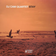 DJ CAM QUARTET / STAY (ICLASSIC 010)