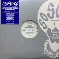 SunN.Y. / Overnight Celebrity (0946 3 33965 1 7)