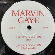 MARVIN GAYE / WHAT'S GOING ON 2003