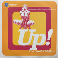 V.A. (EXPO 80, REDDY BOBBIO) / Up! The Psycho Mellow (Schema, SCEB 904 LP, 2LP)